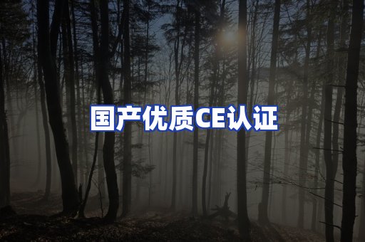 国产优质CE认证